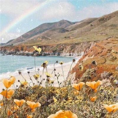 Bsports网页版登录